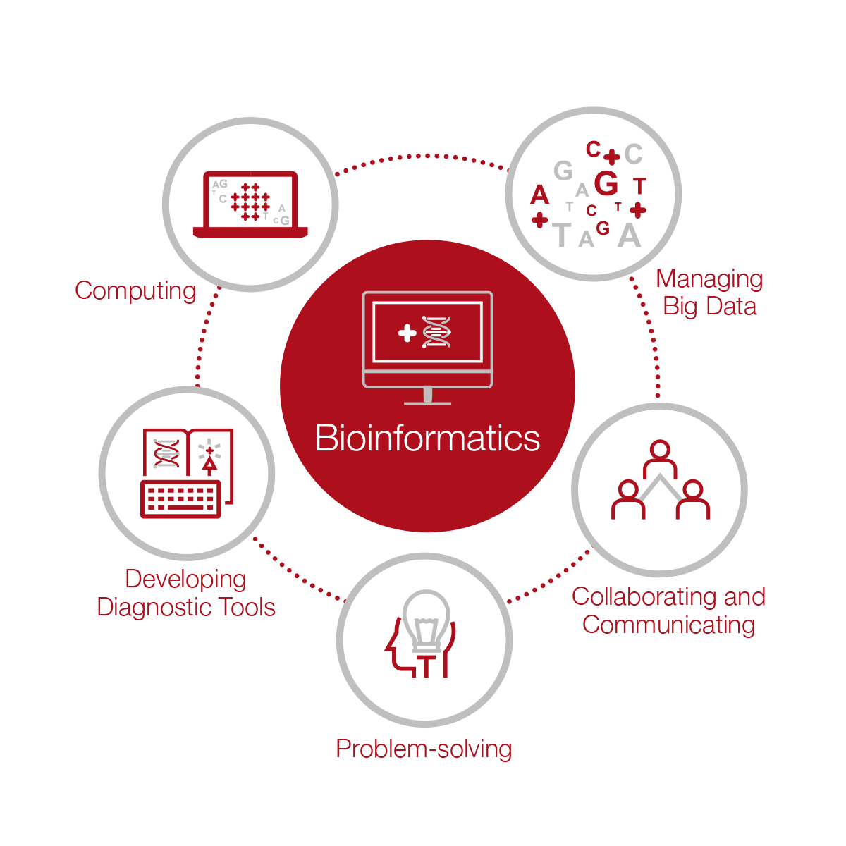 bioinformatics-layman