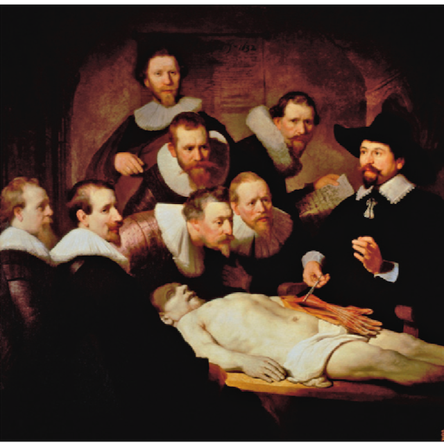 dr-nicolaes-tulps-anatomy-lesson