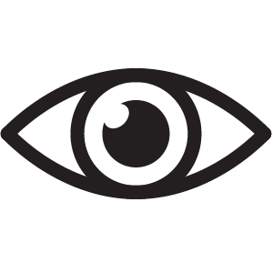 Vision