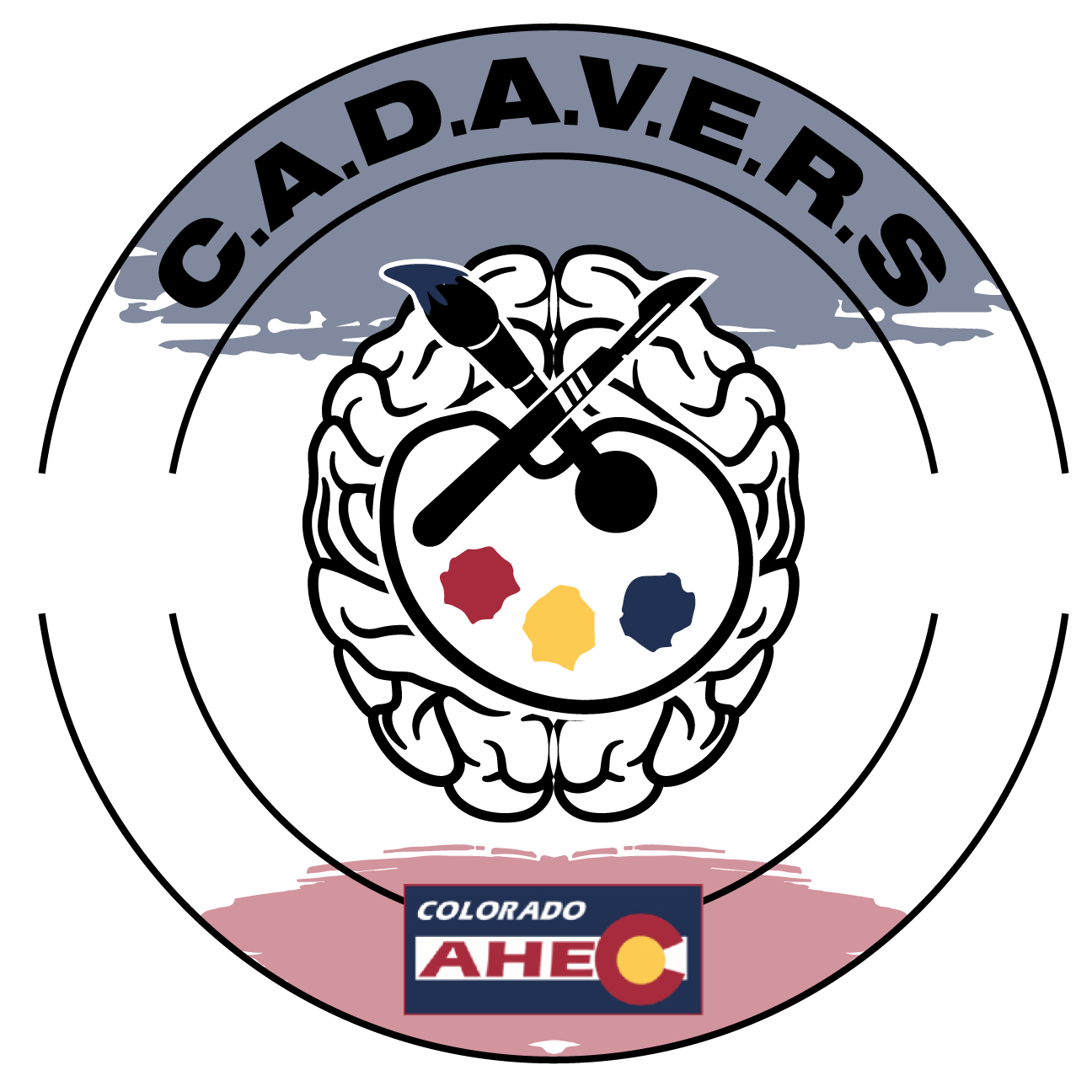 Programs Programs