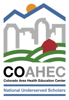 National Underserved Scholars Logo