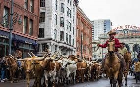 National Western Logo Picture cattle drive