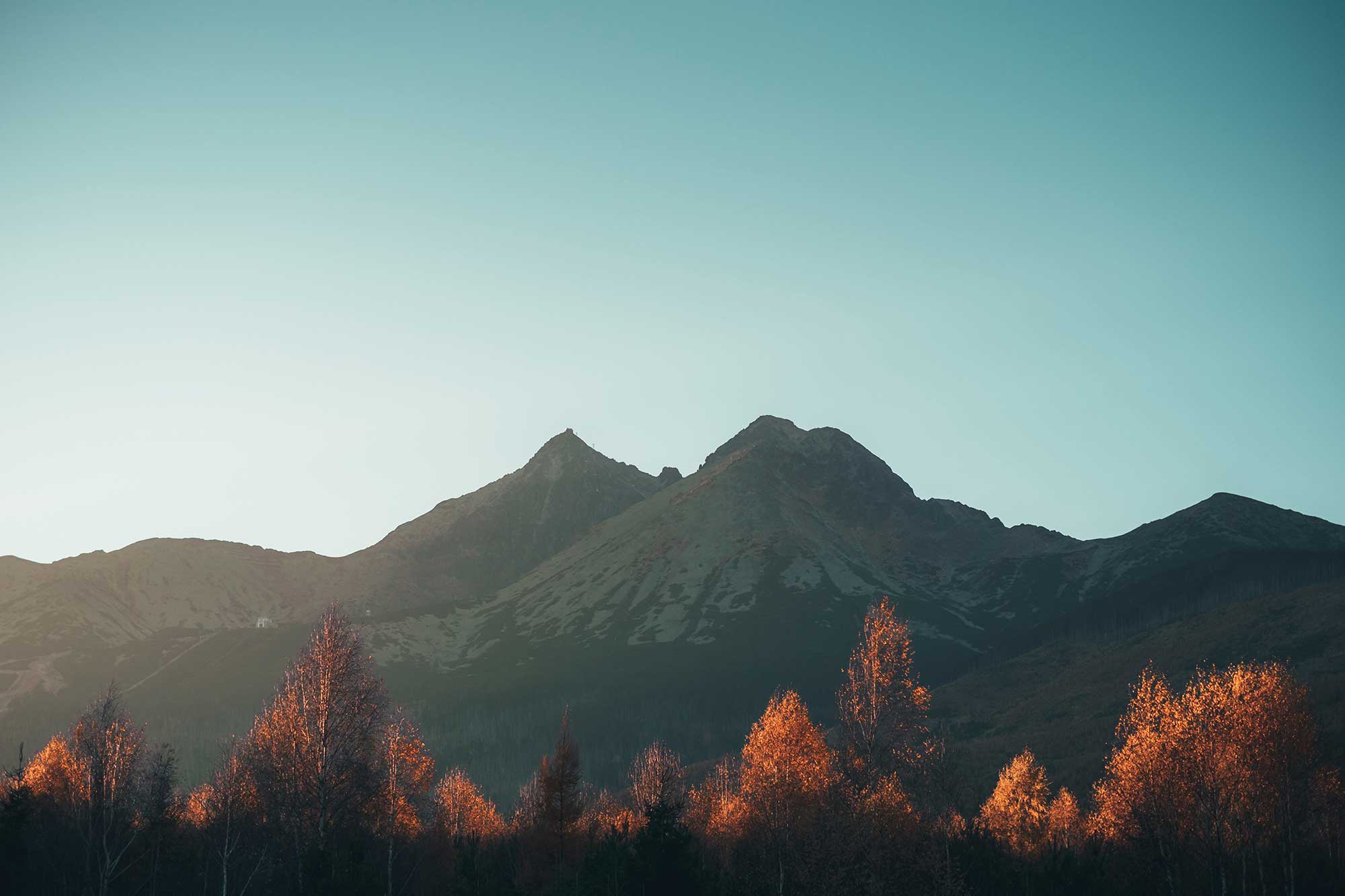 zuzana-kacerova-_zfzZoxbspM-unsplash