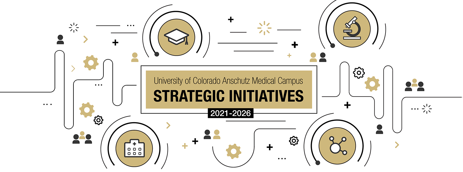 Strategic Framework
