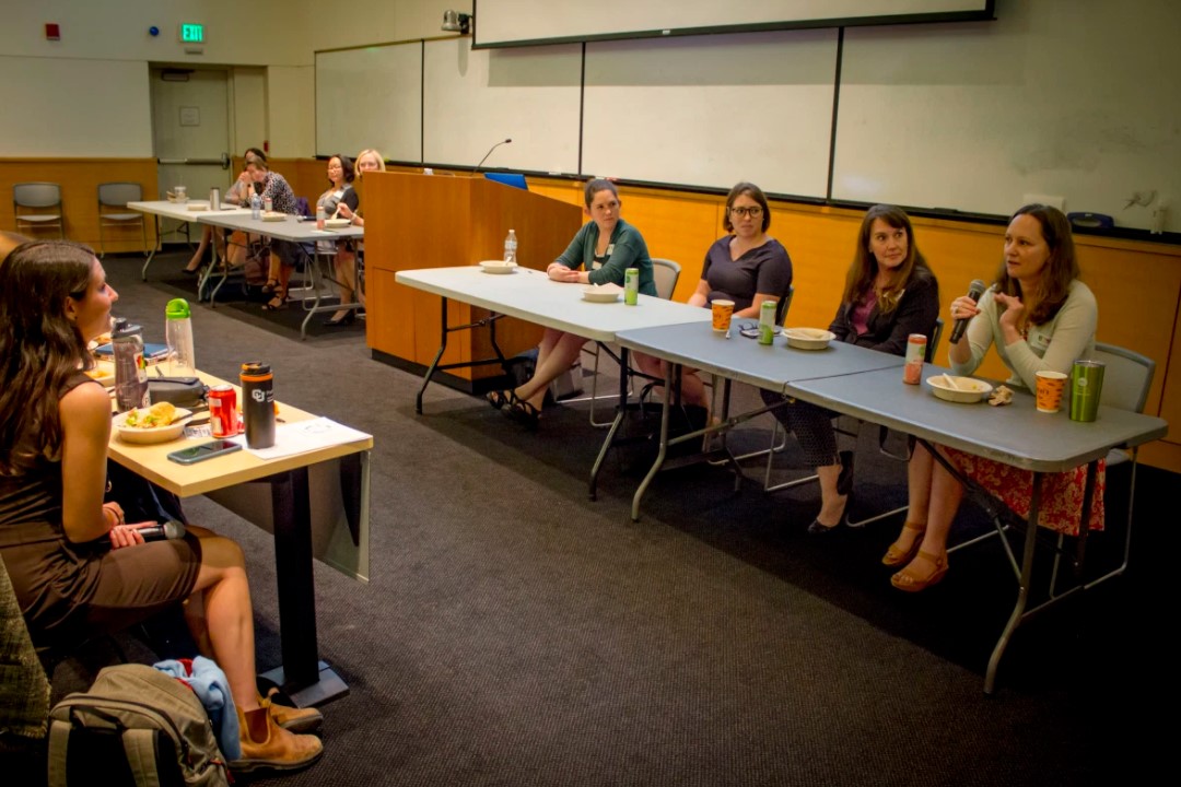 Panelistaddressingaudience