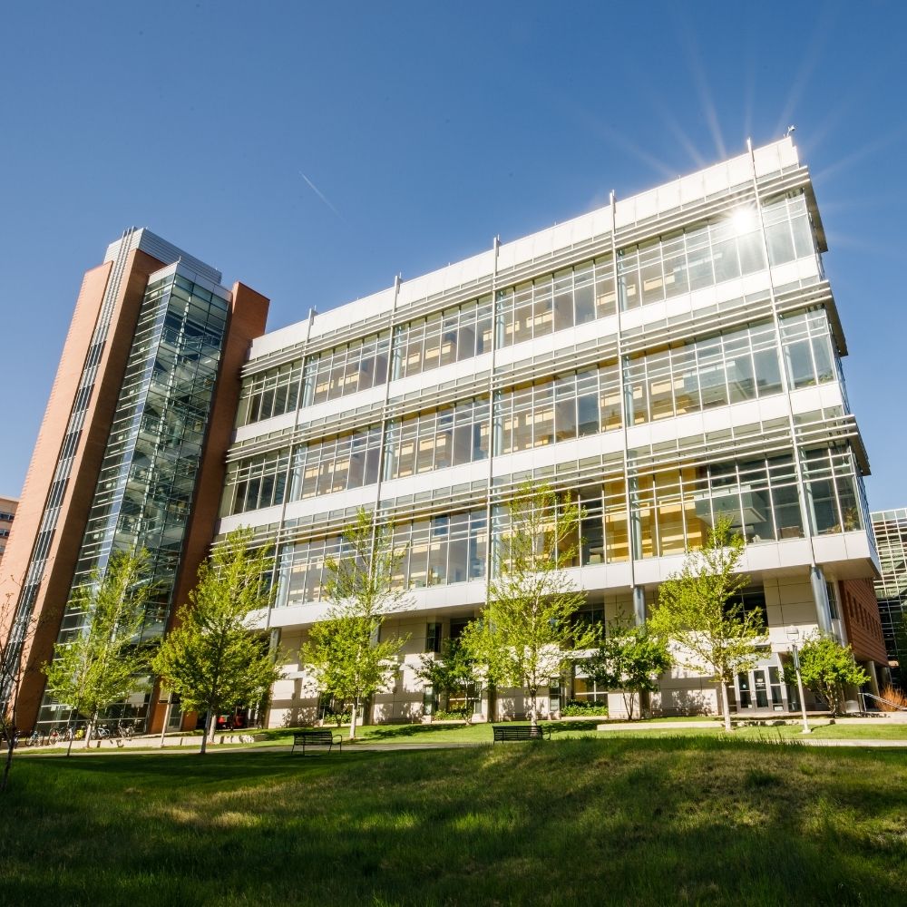 A01 building