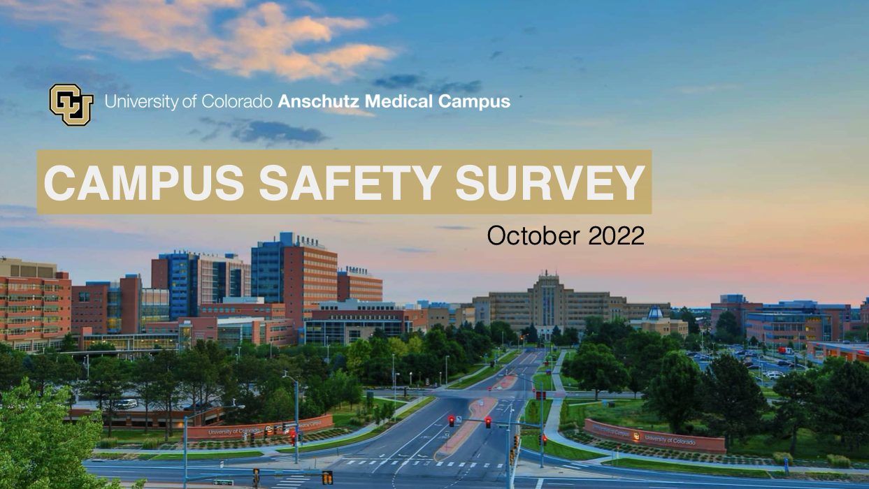 Campus Safety Survey cover image blue sky