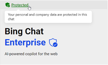 picture of bing chat privacy tag